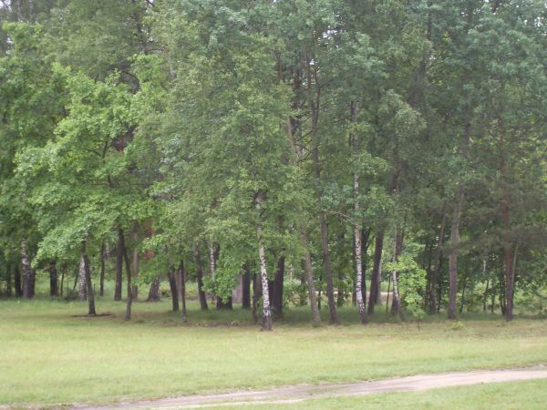 Polana obok budynku bylej szkoly podst.a obecnie domu prywatnego ,gdzie mozna skorzystac z noclegu