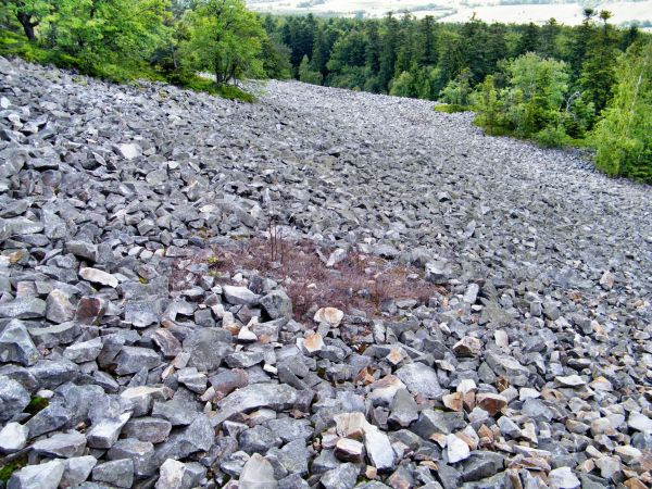 zdjecie Święty Krzyż