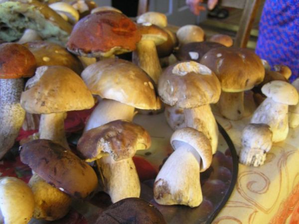 zdjecie Kończyce Małe