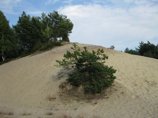 "Góra piaskowa"