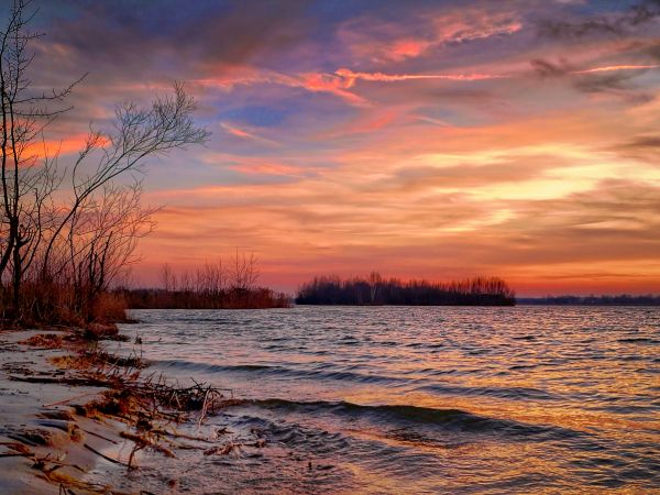 zdjecie Dąbrowa Górnicza