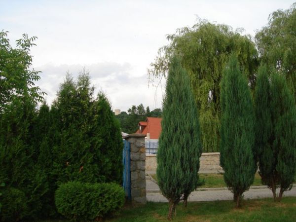 zdjecie Kazimierz Dolny