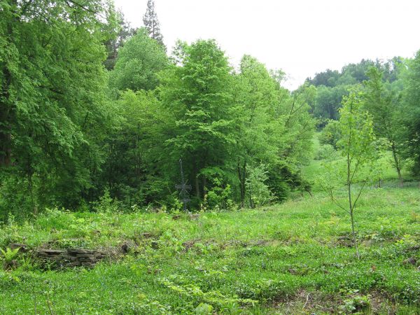 na przycerkiewnym cmentarzu, w 2008 roku cmentarz oczyszczono. Misją Stowarzyszenia Dziedzictwo Mniejszości Karpackich jest ratowanie ginącego wielokulturowego