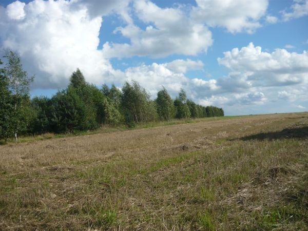 zdjecie Wola Wężykowa