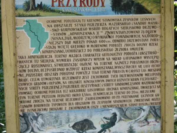 To warto przeczytać.