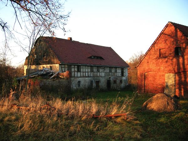 Radoniów wołanie o pomste.