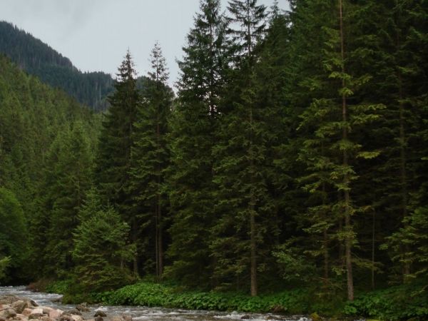 Dolina Kościeliska, Kościelisko