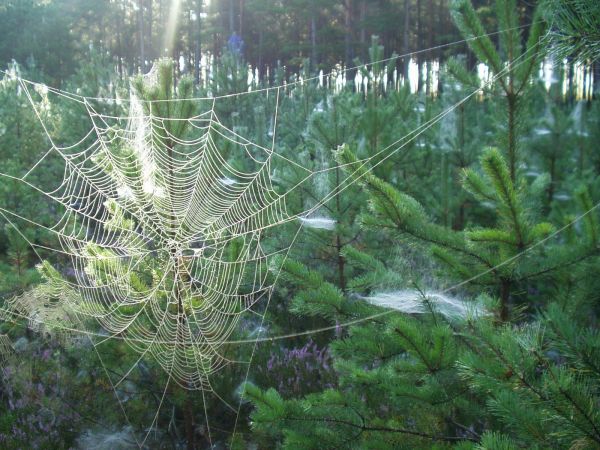 Jesień jest tutaj też piękna.