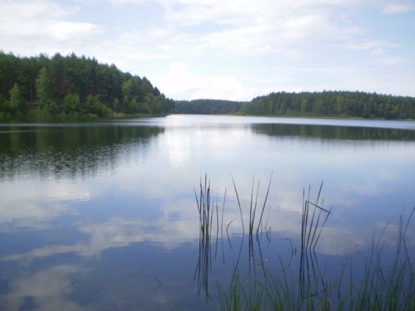 J. Wielkie Gacno - jedno z jezior w PN BT (Struga Siedmiu Jezior)