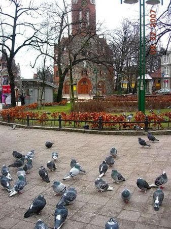 zdjecie Sopot