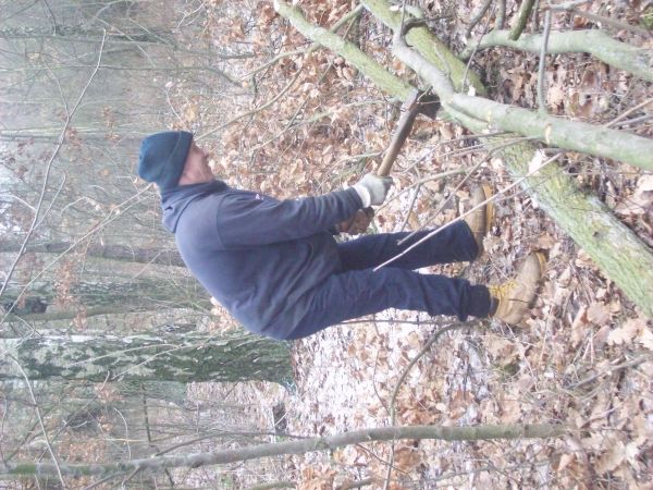 Pozyskiwanie drewna.