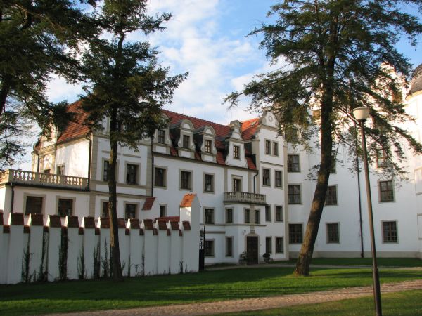 zdjecie Krąg
