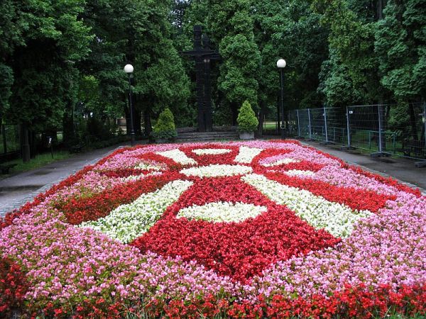 zdjecie Jelenia Góra