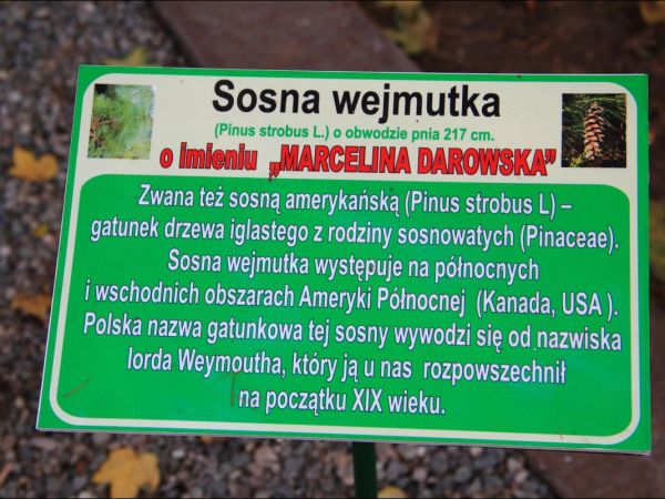 Klasztor i park  ss. Niepokalanek na Głębokiej.