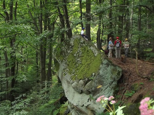 pomiędzy skałami, zbudowanymi z gruboziarnistego twardego piaskowca, pełno szczelin, zapadlisk i jam, a wszystko to porasta stary bukowy las.