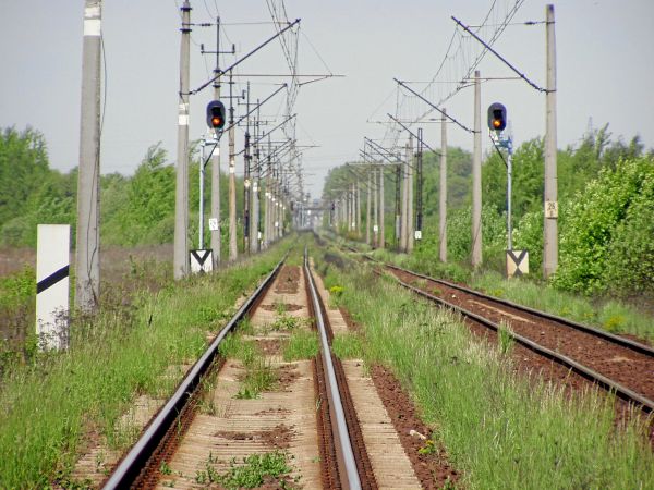 zdjecie Stare Siołkowice