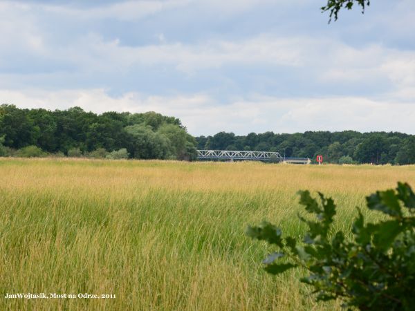 Nad Odrą. W dali widoczny most.