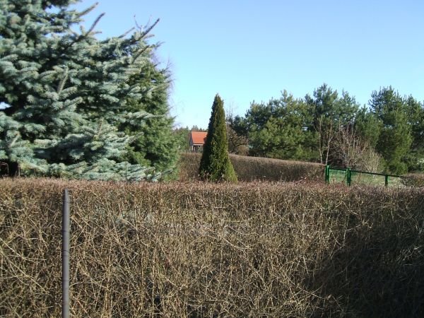 Wioska z wielkim nie odkrytym potencjałem na który składają się dwa jeziora,lasy na grzyby i łąki z polami uprawnymi. Mało stałych mieszkańców co stanowi atut d