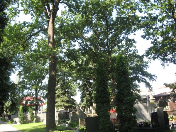 zdjecie Mariańskie Porzecze