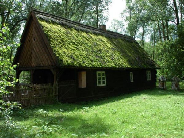zdjecie Biskupin