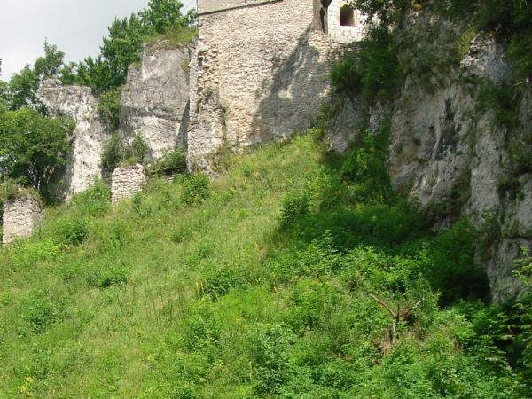 Zamek w Ojcowie, położony na terenie Ojcowskiego Parku Narodowego, w centrum Ojcowa, był zamkiem warownym wzniesionym przez Kazimierza Wielkiego w II połowie XI