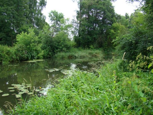 Cudowna przyroda w Woli Życkiej