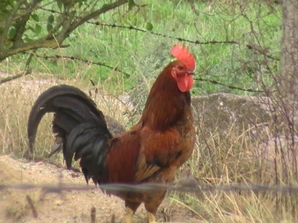 Takie budzenie z rana to sama przyjemność!!
