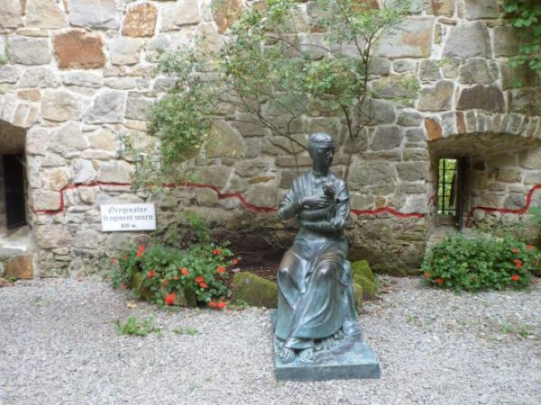 pani na zamku - tuli pieska, może na bramę zamkową spogląda i powrotu męża oczekuje bo napastników pogonił - opryszków, co na szlaku handlowym kupców napadali ?