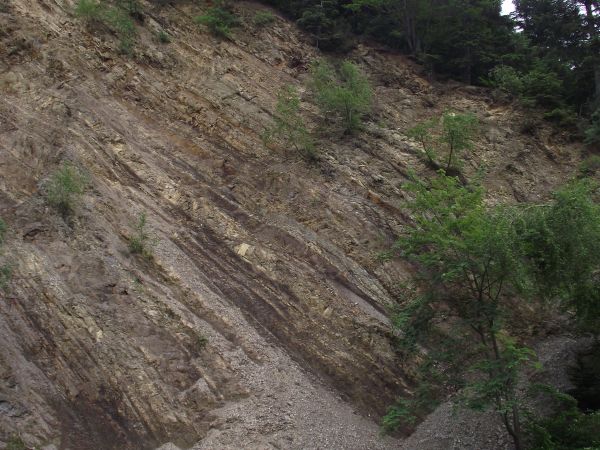 Malowniczy przełom Wisłoka, wyżej szlak Besko - Puławy - Kanasiówka. Nie jest on łatwy - toteż może zaproponuję na trasie : Rudawka - Puławy ale wcześniej w bok