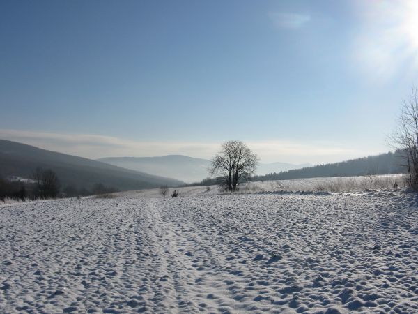 hen : Góra Potockiego a wcześniej po lewej lesista czupryna na zboczu pasma Jaworzyna - w tej galerii zdjęcia z naszego przejścia przez Las Gonszczawa do wsi Ko