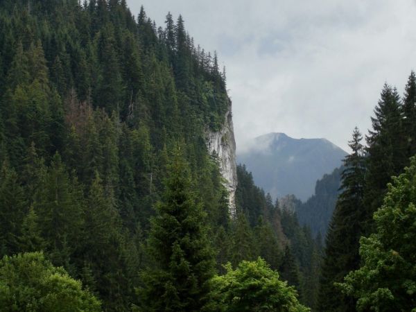 Dolina Kościeliska, Kościelisko