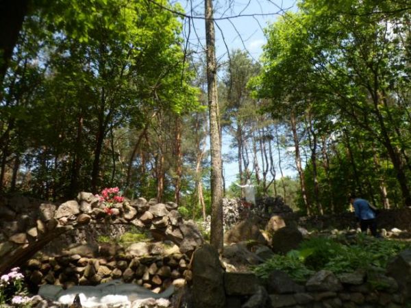 w bezpośrednim sąsiedztwie bazyliki i klasztoru znajduje się kalwaria - tu na dróżkach przy jednej ze stacji.