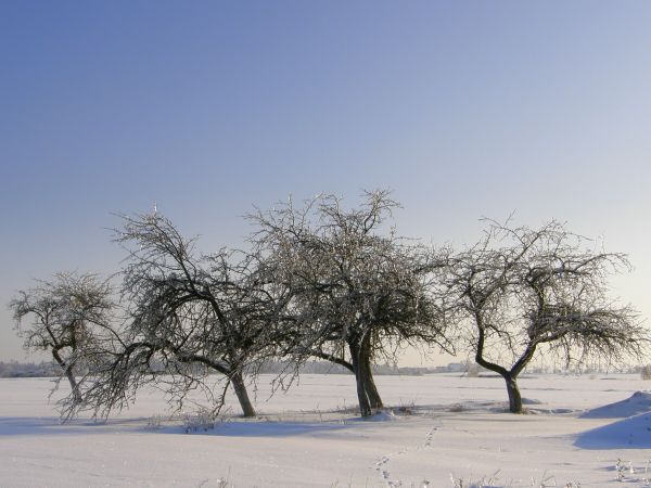 Gdzieś pomiędzy Podłężem Królewskim a Podłężem Szlacheckim