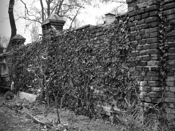 Fragment muru,pozostałość po cmentarzu żydowskim-ul.Marii Konopnickiej