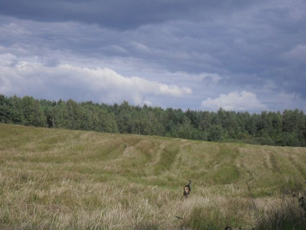 Zdjęcia Pietrzykowo