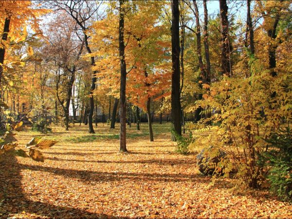 Klasztor i park  ss. Niepokalanek na Głębokiej.