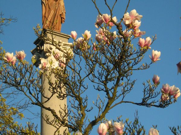 Wolsztyn, figura Matki Boskiej, patronki Wolsztyna.