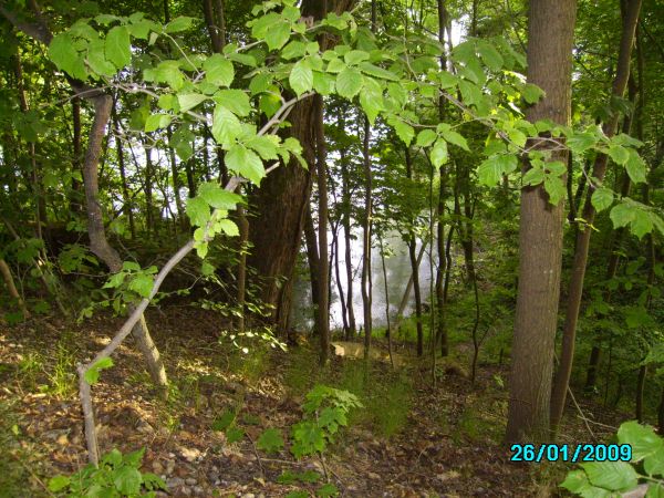 zdjecie Konopki Wielkie