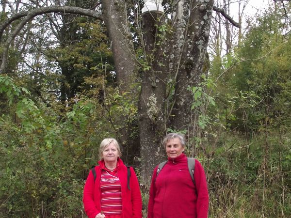 na błoniach cerkiewnych podczas mszy odpustowych - obłożonych przez pielgrzymów, turystów i sympatyków tych klimatów, owego przekazu  i modlitwy można też pod f