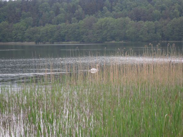 zdjecie Krępsk