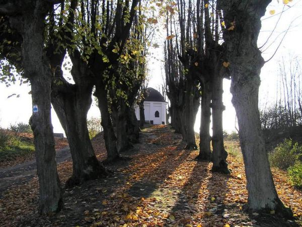 Aleja prowadząca do kaplicy