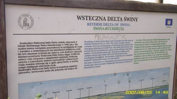 Opis wstecznej delty Świny