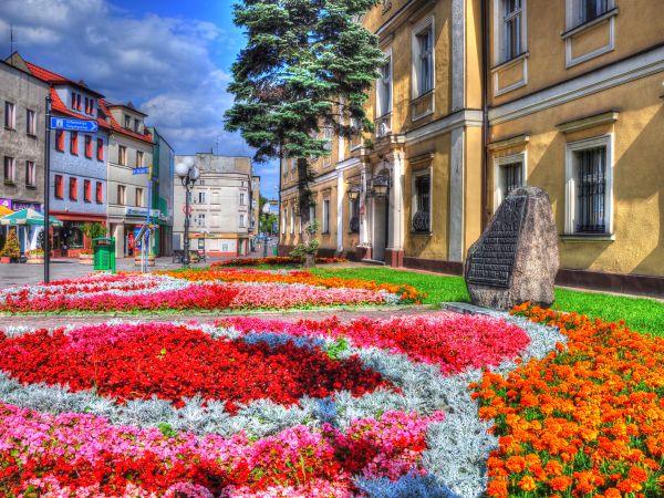 zdjecie Wodzisław Śląski