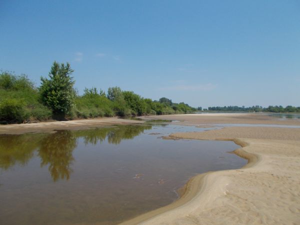 Meandry Wisły.
