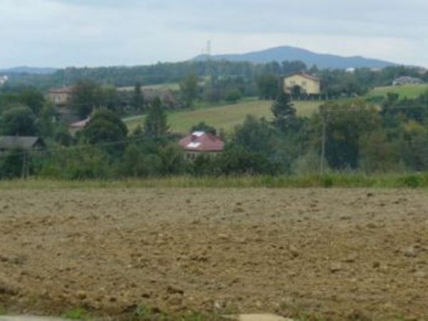 LIWOCZ widziany "od tyłu" , czyli od zachodu.