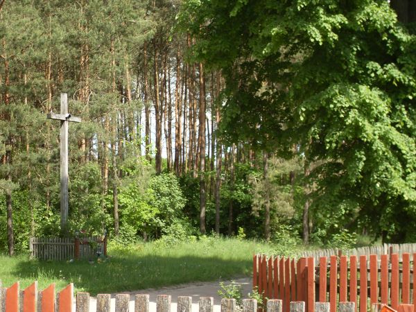 Zdjęcia Pokaniewo-Kolonia