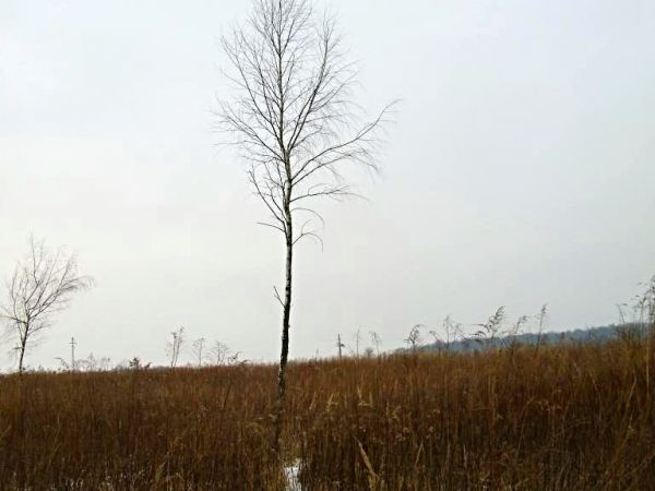 dawniej było to pole orne a jeszcze dawniej łąka blisko jest  opuszczony młyn pamięta czasy  carów nawet Turków idących na Wiedeń pierwszą drugą wojnę a dziś ma