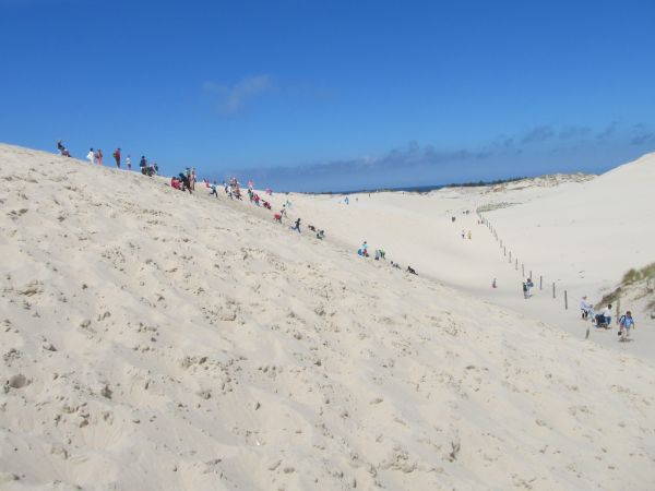 Ruchome wydmy przy Górze Rąbce