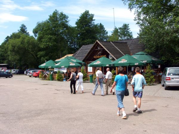 zdjecie Białowieża