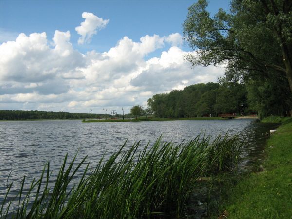 Wolsztyn, je4zioro Wolsztyńskie w pełni lata, miejsce wypoczynku mieszkańców i turystów.